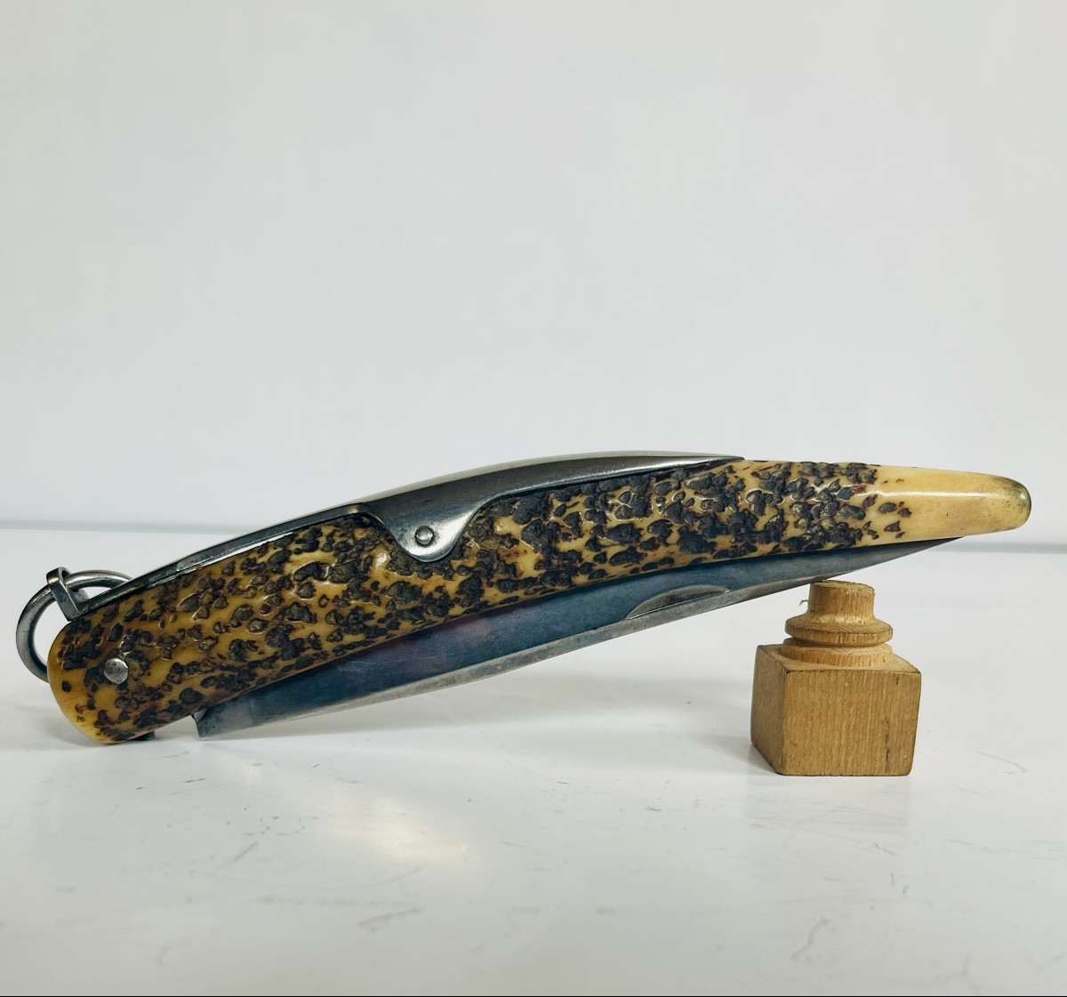 Couteau cornillon -photo-2